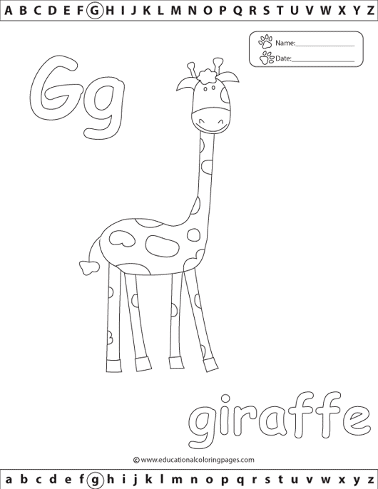 g is for giraffe alphabet2g free educational coloring pages g for is giraffe 