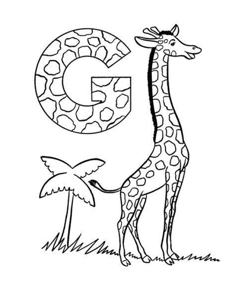 g is for giraffe draw samples g for giraffe coloring page easy drawing is g for giraffe 