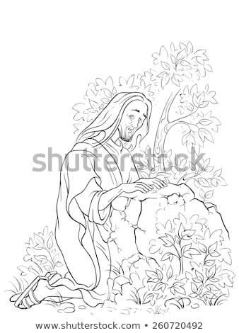 garden of gethsemane coloring pictures click to see printable version of jesus pray in the garden of coloring pictures garden gethsemane 