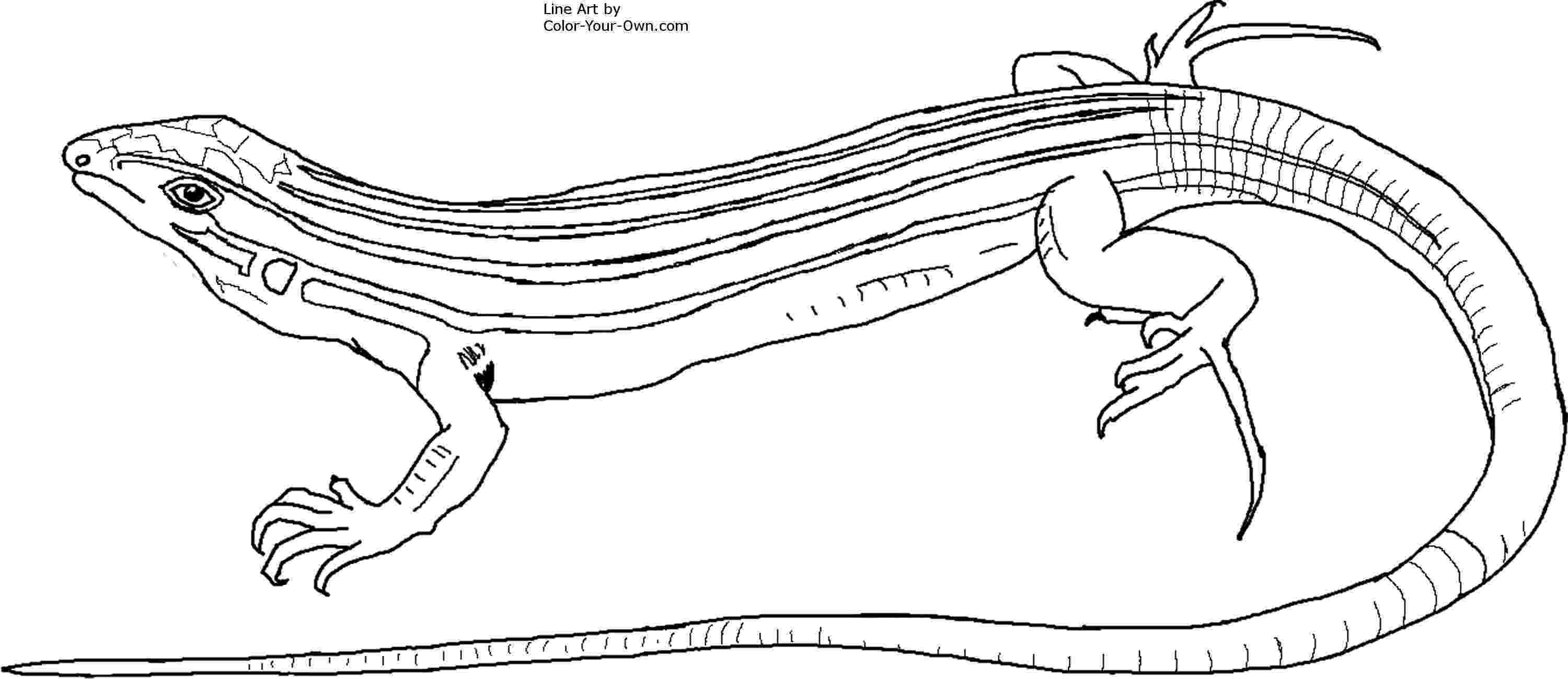 gecko lizard coloring pages 46 gecko coloring pages www gecko coloring page coloring lizard coloring pages gecko 