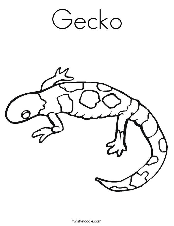 gecko lizard coloring pages lizard coloring pages download print online coloring gecko pages lizard coloring 