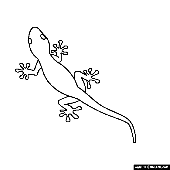 gecko lizard coloring pages pin on kids coloring page pages lizard coloring gecko 