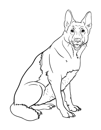 german shepherd pictures to print pin by muse printables on coloring pages at coloringcafe shepherd german print to pictures 