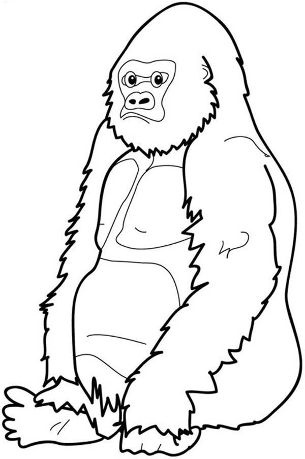 gorilla coloring pages free gorilla coloring pages gorilla coloring pages 