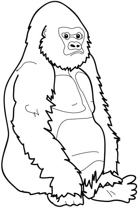 gorilla coloring pages gorilla coloring page h m coloring pages pages coloring gorilla 
