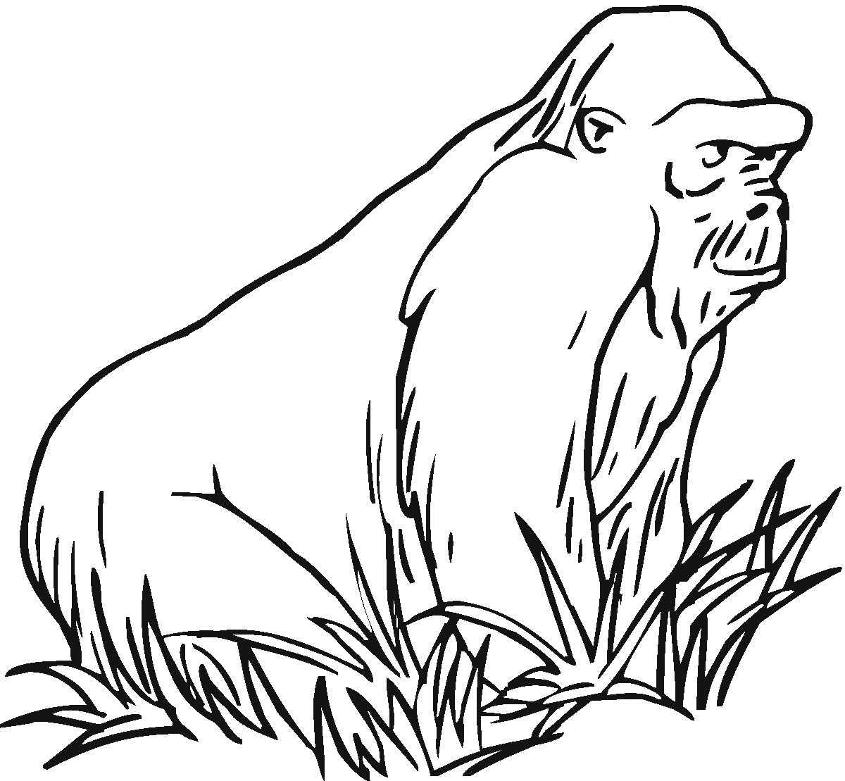 gorilla coloring pages gorilla coloring pages to download and print for free pages gorilla coloring 