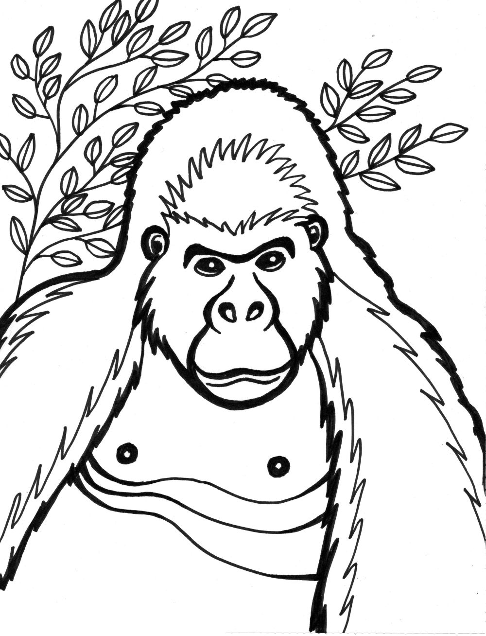 gorilla coloring pages gorilla grodd coloring pages coloring pages gorilla pages coloring 