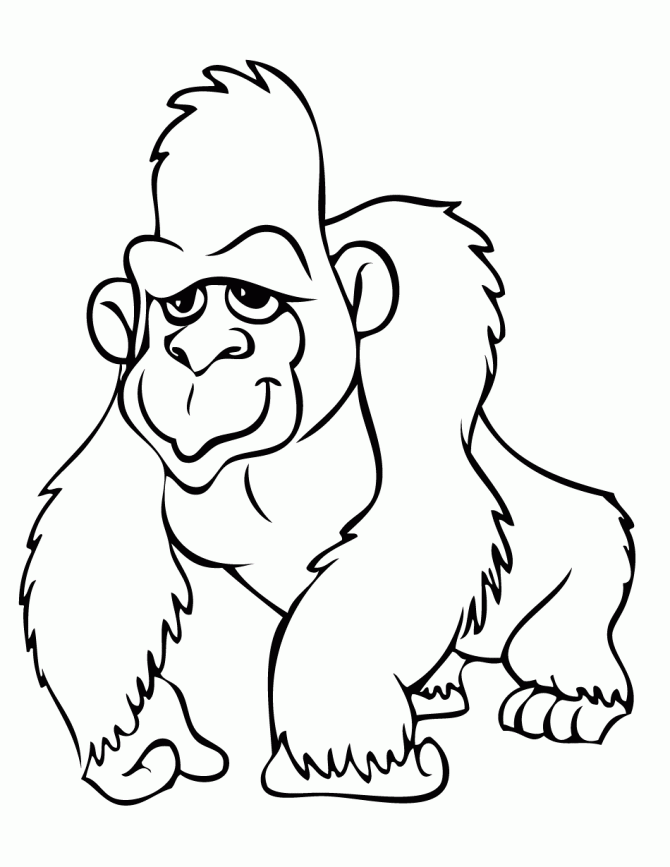 gorilla coloring pages pictures of cartoon gorillas clipartsco coloring gorilla pages 