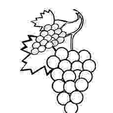 grapes pictures for colouring desember 2011 grapes colouring pictures for 