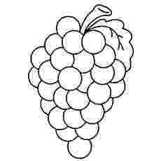 grapes pictures for colouring free grapes coloring pages fantasy coloring pages grapes colouring for pictures 
