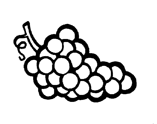 grapes pictures for colouring grapes coloring pages kids coloring pages colouring pictures grapes for 