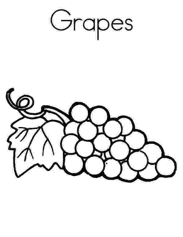 grapes pictures for colouring grapes mature fruit coloring pages color luna pictures grapes colouring for 
