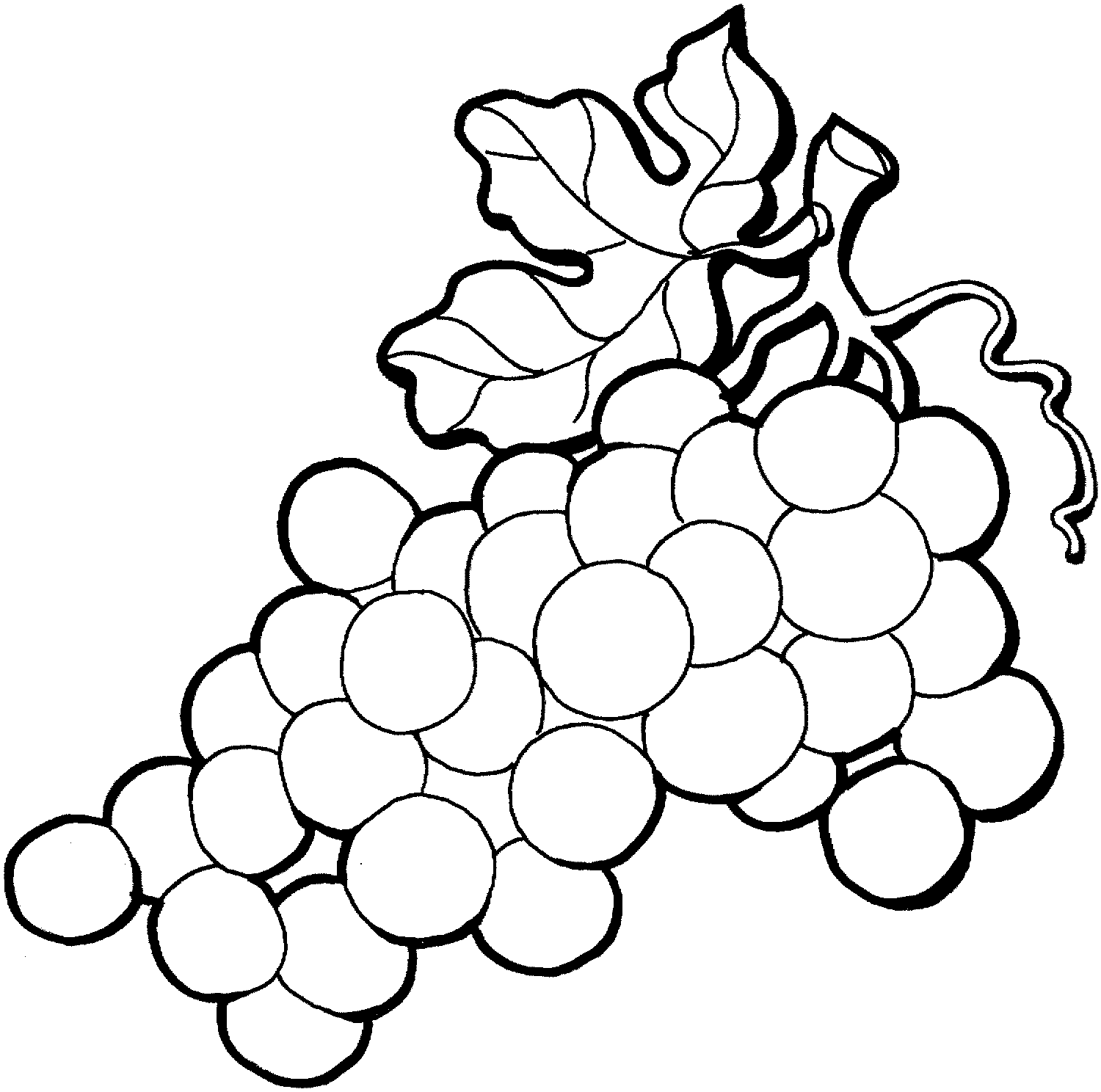 grapes pictures for colouring grapes pictures for colouring grapes for colouring pictures 