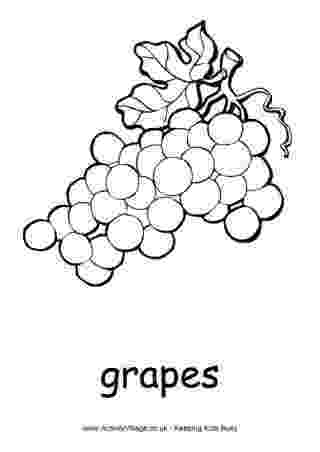 grapes pictures for colouring how to draw grapes coloring pages how to draw grapes pictures grapes for colouring 