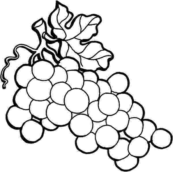 grapes pictures for colouring smiley grapes coloring pages for kids coloring point grapes for colouring pictures 