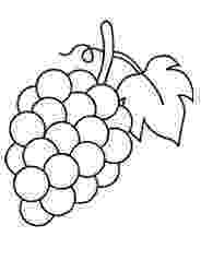 grapes pictures for colouring top 25 free printable lovely grapes coloring pages online colouring pictures grapes for 