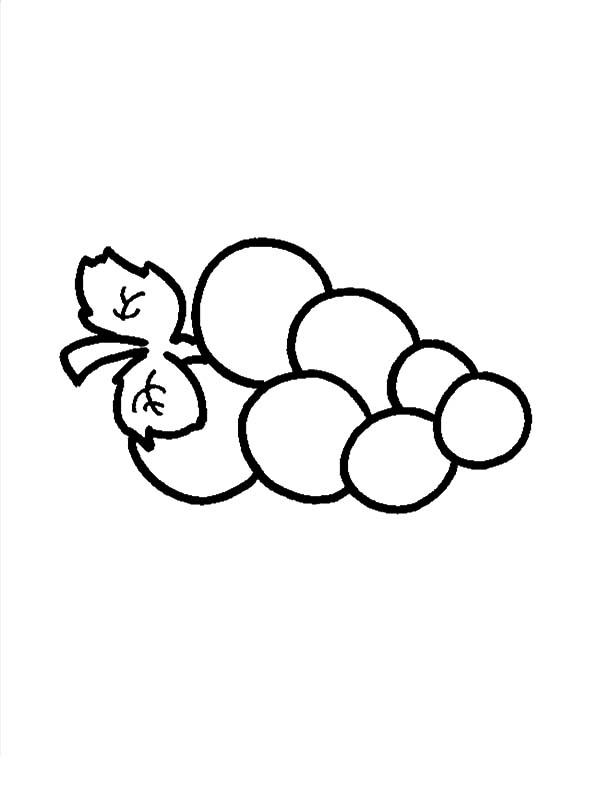 grapes to color 17 best images about grapes coloring pages on pinterest to color grapes 