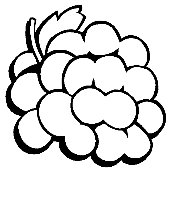 grapes to color free grapes coloring pages grapes to color 