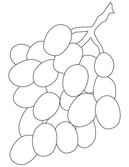 grapes to color grapes coloring pages best coloring pages for kids to grapes color 