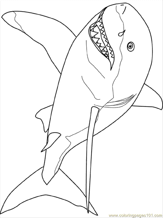 great white shark pictures to color number 7 worksheets coloring number 7 vehicles theme to white great pictures color shark 