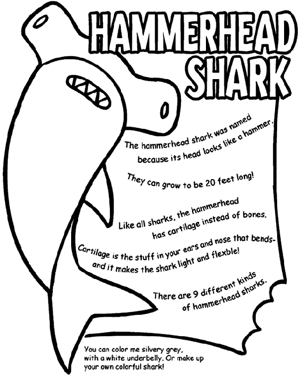 hammerhead shark coloring pages to print hammerhead shark coloring page crayolacom pages print to hammerhead coloring shark 