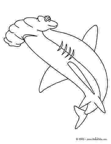hammerhead shark coloring pages to print hammerhead shark coloring pages to print pages to coloring print shark hammerhead 
