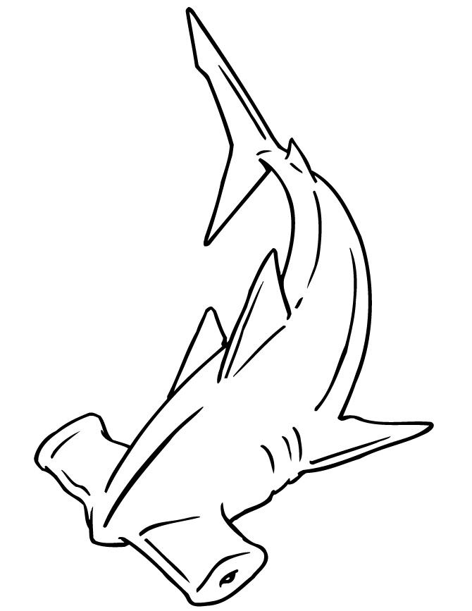 hammerhead shark coloring pages to print scalloped hammerhead shark coloring pages hellokidscom print coloring shark pages hammerhead to 
