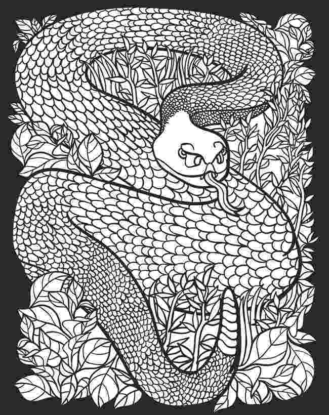hard animal coloring pages hard coloring sheets hard coloring pages animal 