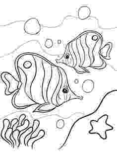 hard fish coloring pages koi coloring adult coloring books for relaxation hard pages coloring fish 