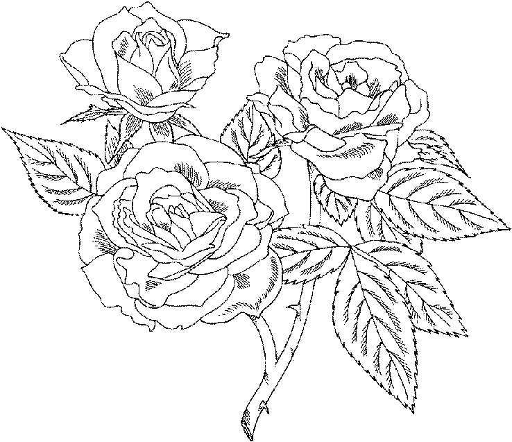 hard flower coloring pages coloring pages of flowers for teenagers difficult flower pages coloring hard 