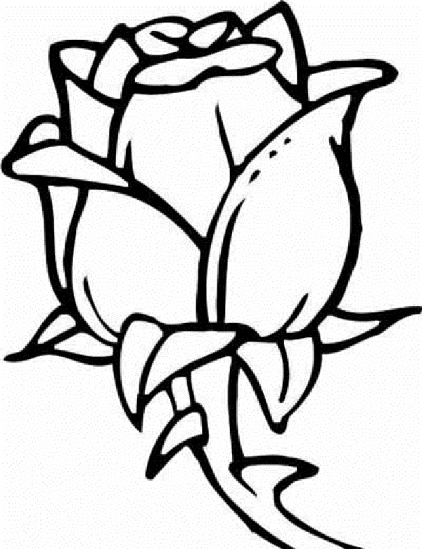 hard flower coloring pages hard printable coloring pages for adults coloring home coloring flower pages hard 