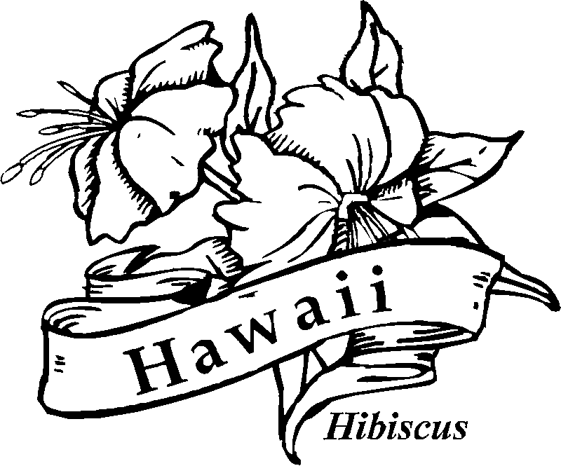 hawaiian pictures to color hawaii coloring page by doodle art alley coloring pages to hawaiian pictures color 