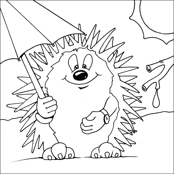 hedgehog picture to colour baby hedgehog coloring page hedgehog colors hedgehog hedgehog colour picture to 