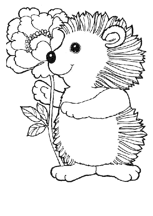 hedgehog picture to colour baby hedgehogs colouring pages sketch coloring page to picture hedgehog colour 