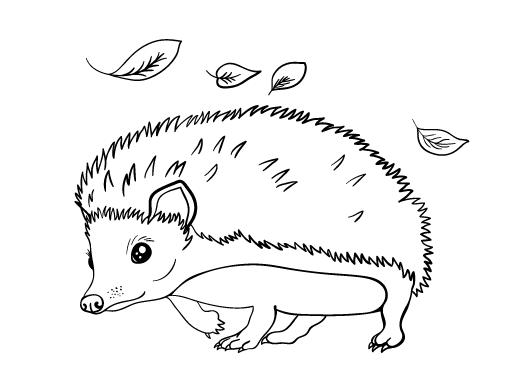 hedgehog picture to colour hedgehog coloring page getcoloringpagescom picture colour hedgehog to 