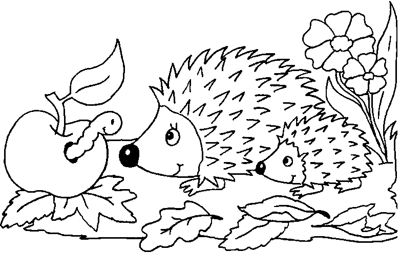 hedgehog picture to colour mobilecute hedgehog coloring coloring pages picture hedgehog to colour 
