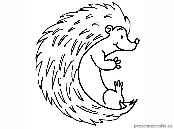 hedgehog picture to colour ΠΑΙΔΙΚΑ ΧΑΜΟΓΕΛΑ Σκαντζόχοιρος picture to colour hedgehog 