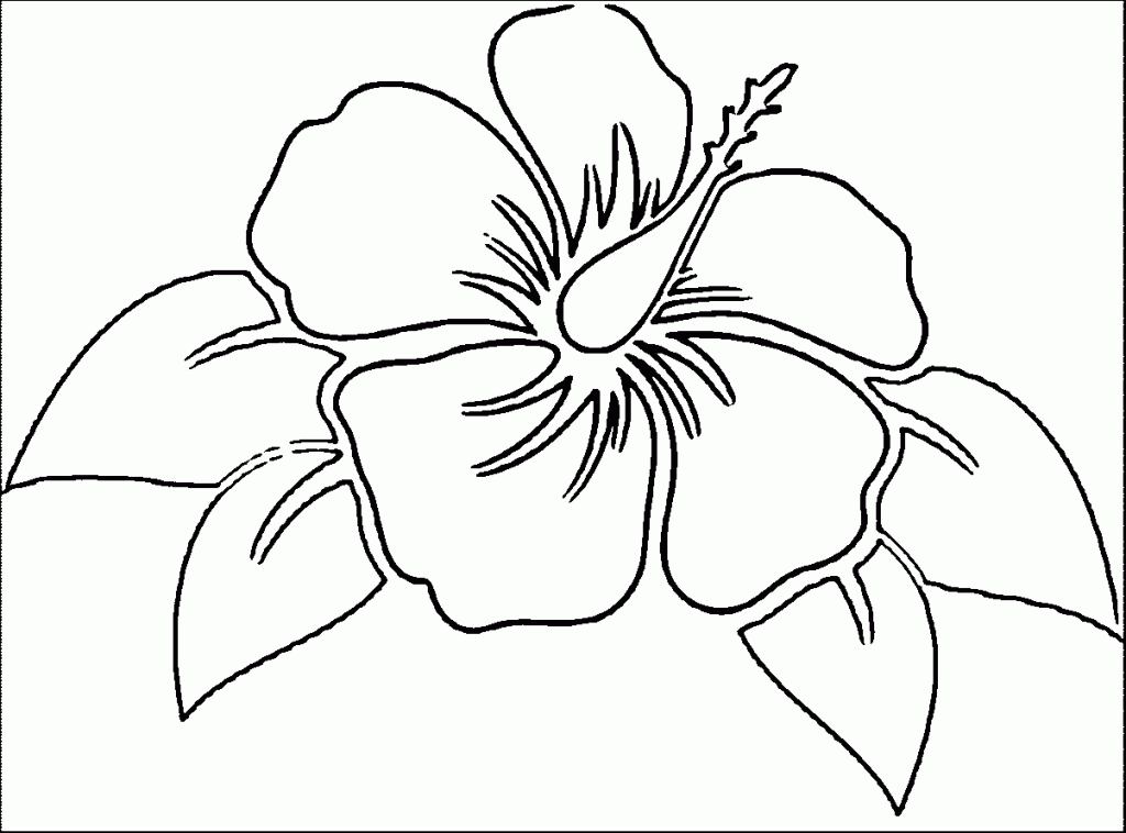 hibiscus coloring pages hawaii state flower drawing at getdrawings free download pages hibiscus coloring 