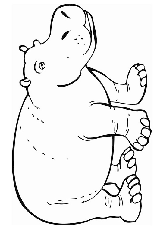 hippopotamus coloring page cute baby hippo coloring page free printable coloring pages page coloring hippopotamus 