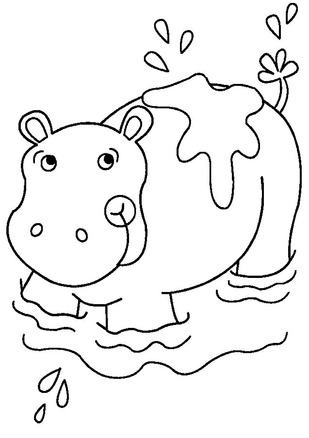 hippopotamus coloring page detailed animal coloring pages parrot coloring pages coloring page hippopotamus 