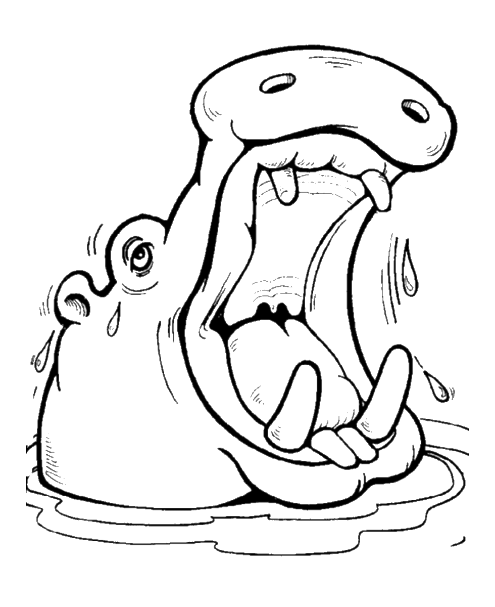 hippopotamus coloring page hippo coloring pages hippopotamus page coloring 