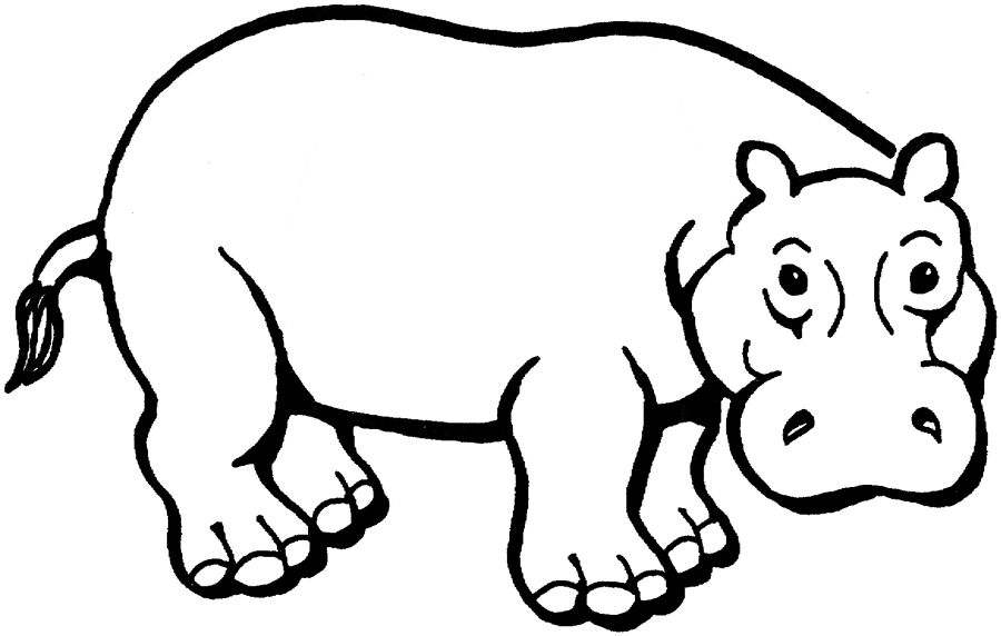 hippopotamus coloring page printable hippo coloring pages for kids cool2bkids coloring page hippopotamus 