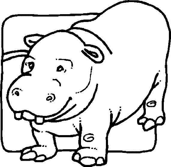 hippopotamus coloring pages cute hippo coloring pages to kids pages coloring hippopotamus 