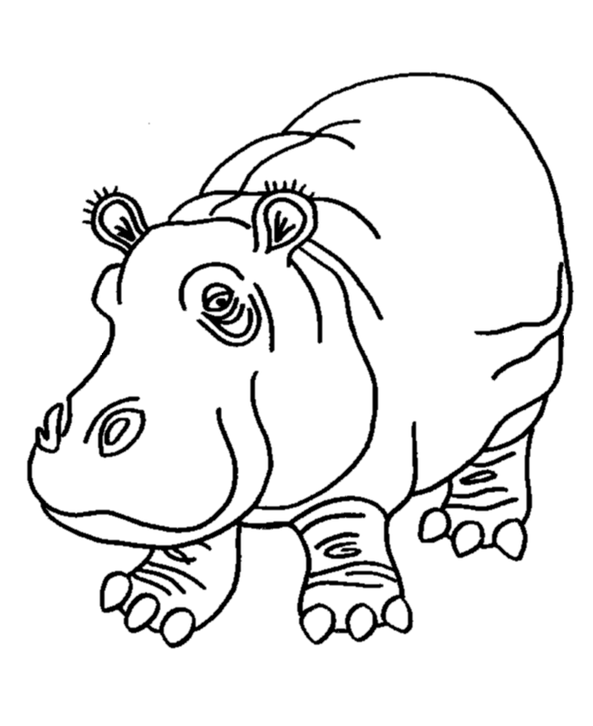 hippopotamus coloring pages hippo coloring pages kidsuki pages coloring hippopotamus 