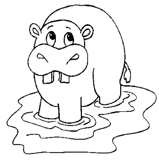 hippopotamus coloring pages hippopotamus coloring pages getcoloringpagescom coloring pages hippopotamus 