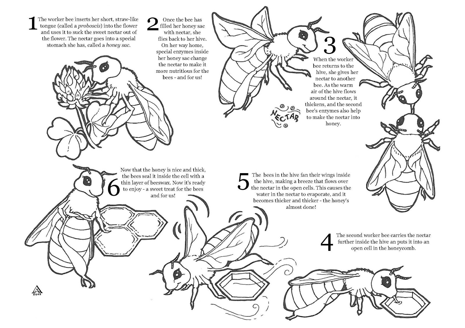 honey bee coloring page flying honey bee coloring pages coloring sky page bee honey coloring 
