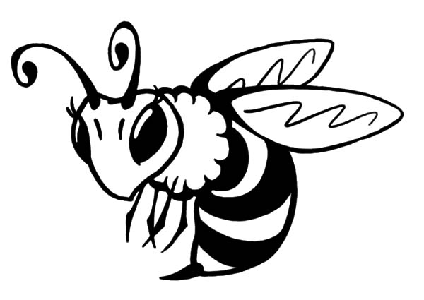 honey bee coloring page the best place for coloring page at coloringsky part 13 honey coloring page bee 
