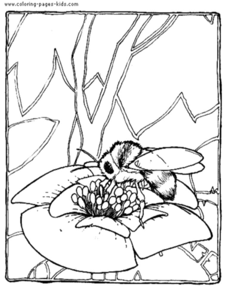 honey bee coloring page the honey bee honey bee coloring page 