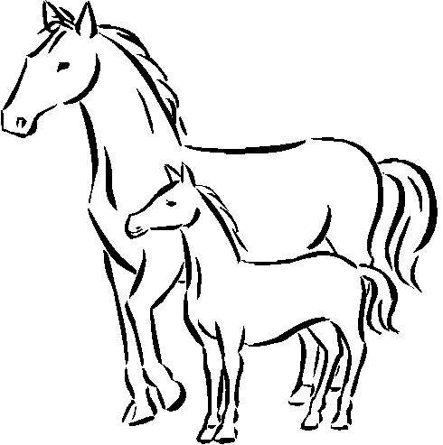 horse pics to color 19 best coloring pageslineart dreamworks spirit stallion pics color horse to 