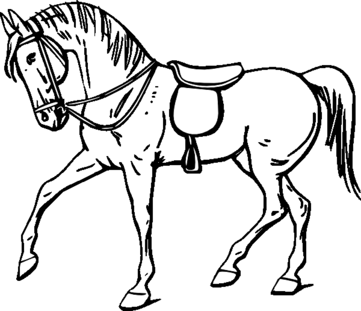 horse pics to color 30 best horse coloring pages ideas we need fun color horse to pics 